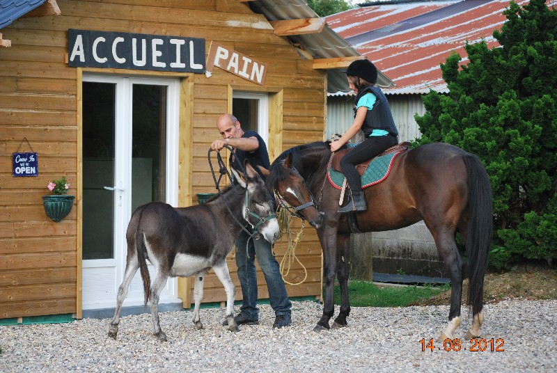 Nos animaux favoris Camping Les Pommiers Pays d'Auge CAMPING Eure Normandie Camping Les