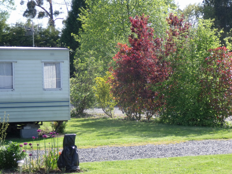The campsite « Camping Les Pommiers Pays d'Auge CAMPING Eure Normandie